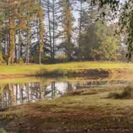 Beautiful House On Huge Natural Ground *